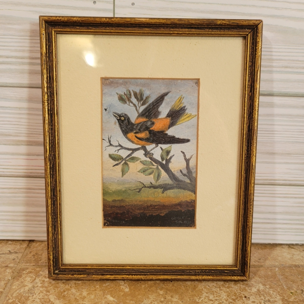 1881 Baltimore Oriole Original Painting (Watercolor?) Frame and Hardware